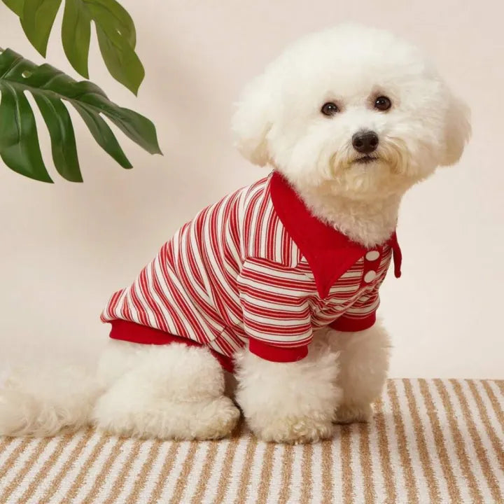 Pet shirt