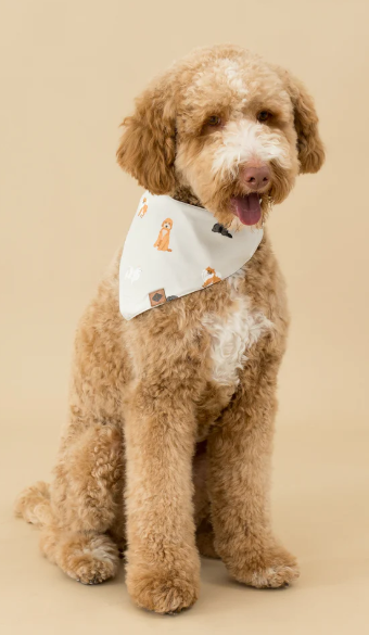 Dog Bandana