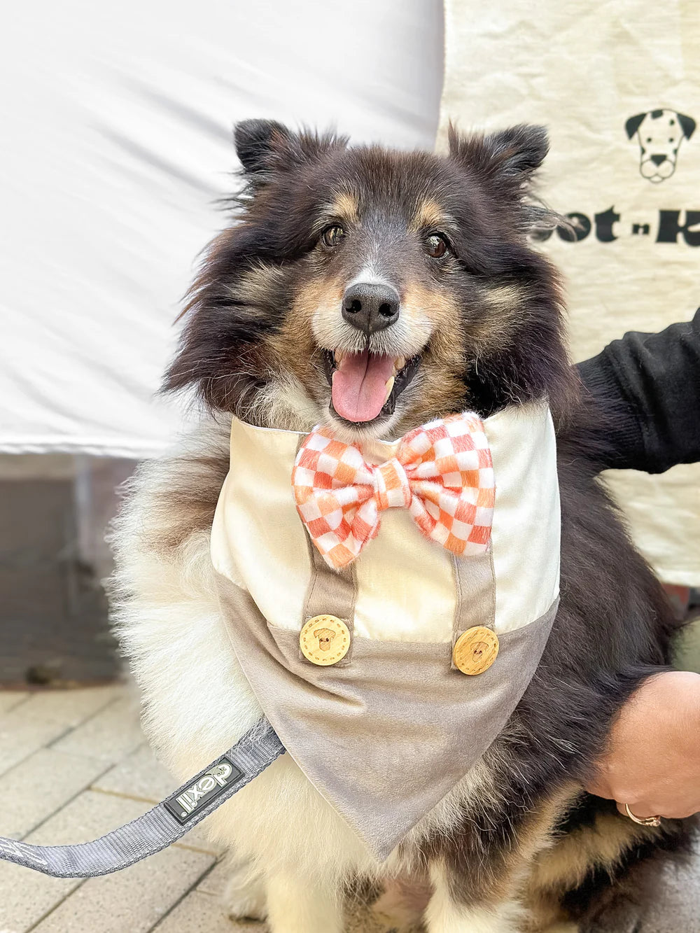 Pet Bib